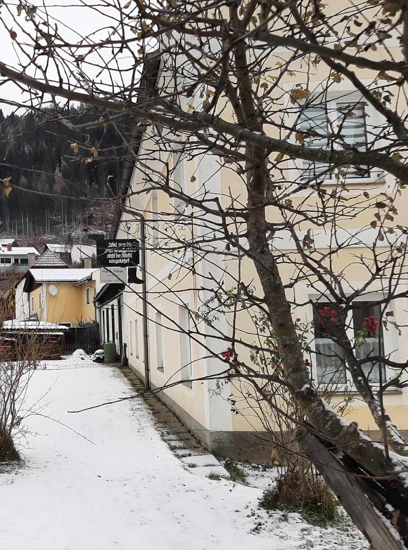 Haus Peter Lägenhet Murau Exteriör bild